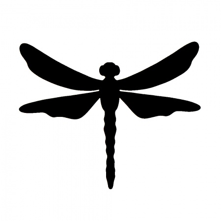 gsb17-s165_dragonfly